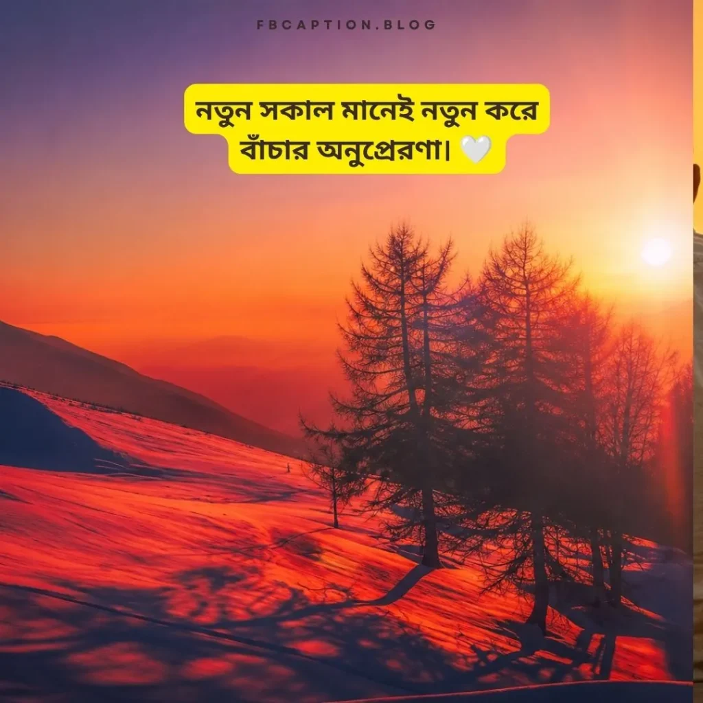 শুভ সকাল স্ট্যাটাস