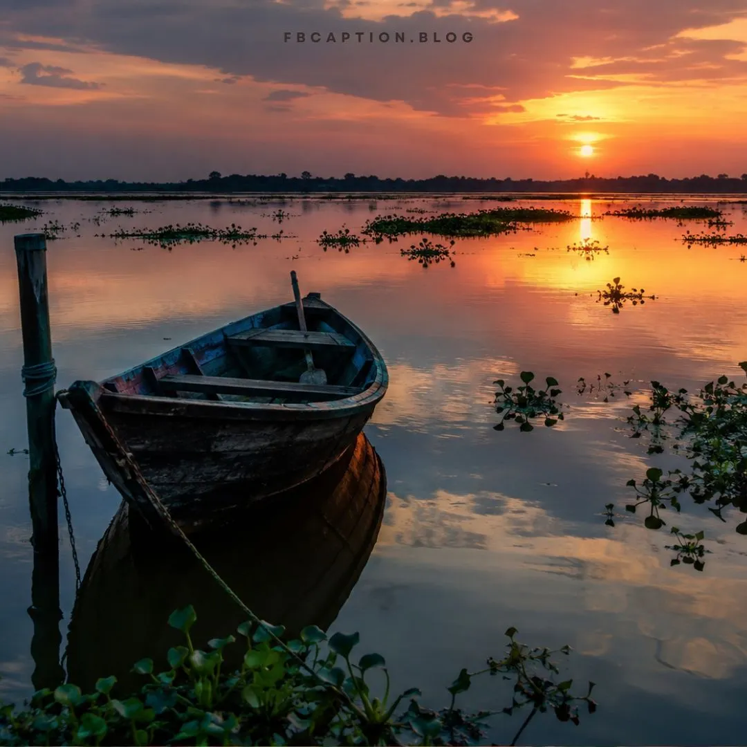 নৌকা নিয়ে ক্যাপশন